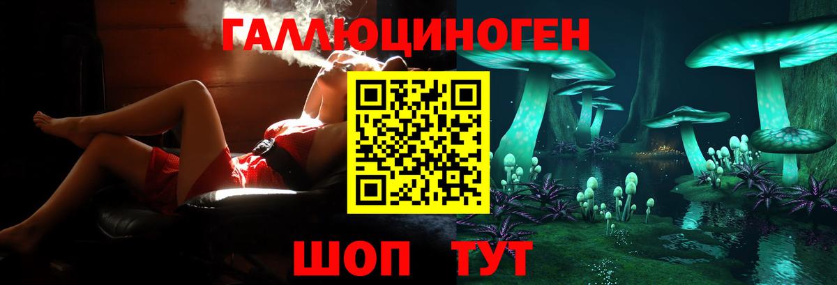 Галлюциногенные грибы MAGIC MUSHROOMS  Вход с VPN  Чайковский 